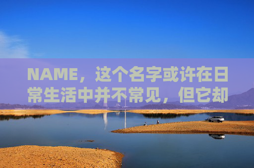 NAME，这个名字或许在日常生活中并不常见，但它却在某些领域里扮演着重要的角色。今天，让我们一起来探索这个名字背后的故事和意义